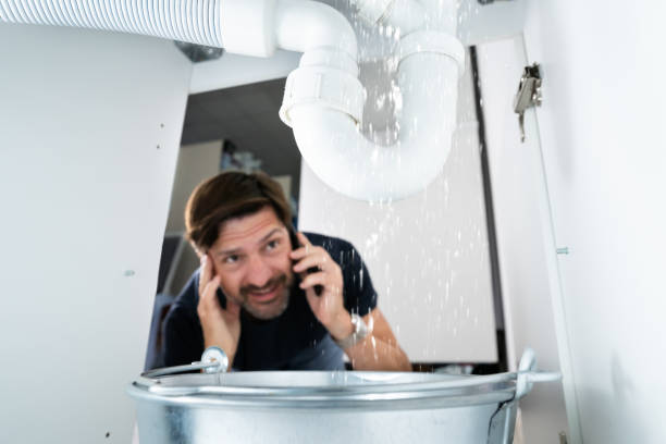 Best Affordable Plumbing Services  in Omro, WI