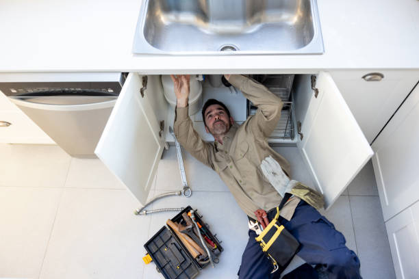 Best Commercial Plumbing Services  in Omro, WI