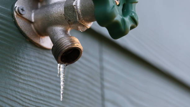 Best Shower Repair Services  in Omro, WI
